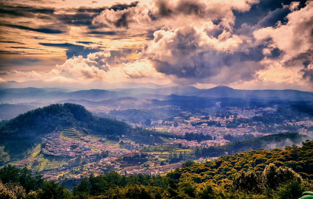 travelpic